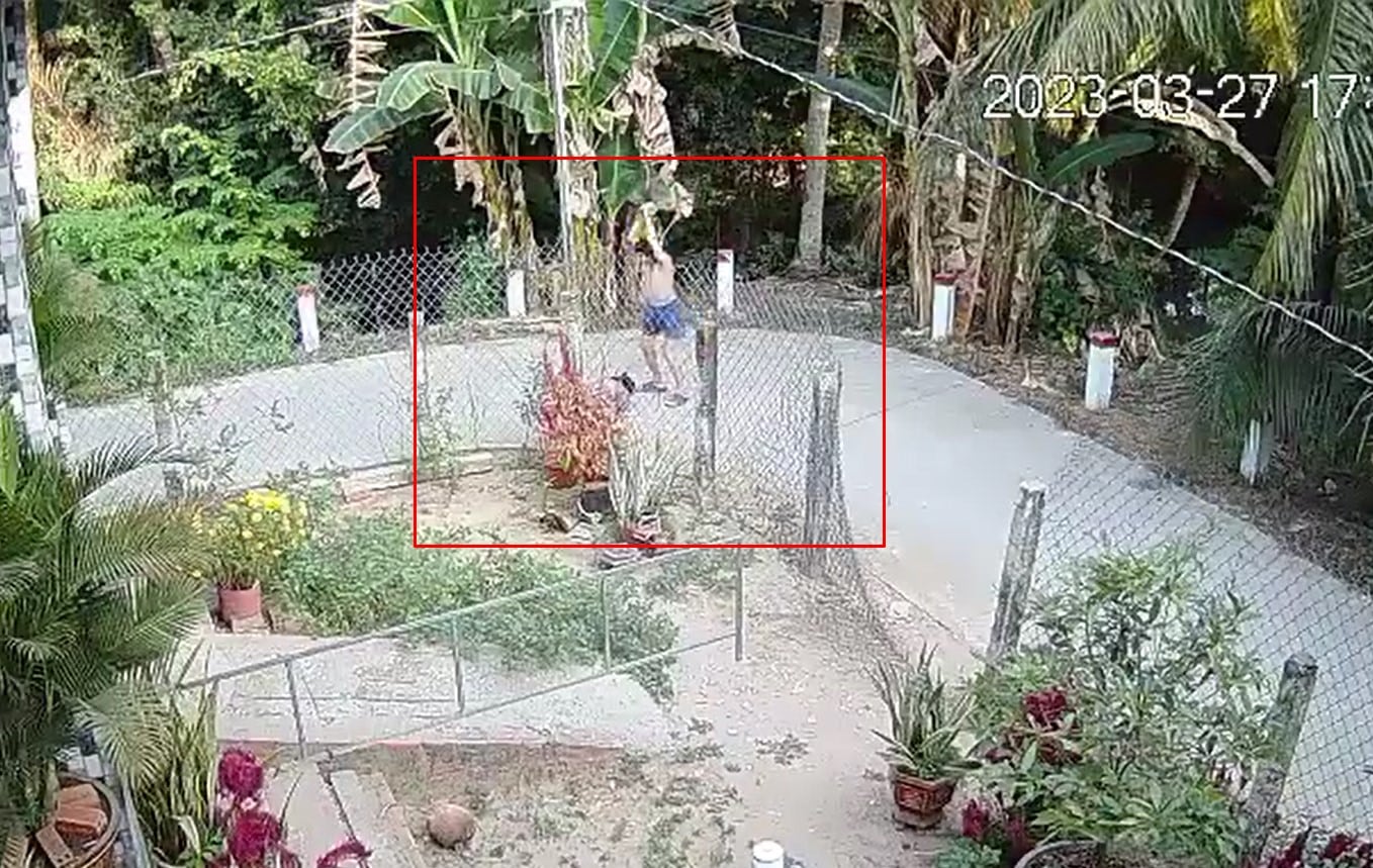 HOT!! video Chồng đi nhậu về rồi lớn tiếng với vợ, một lúc sau chồng dùng cây gỗ phang liên tục vào đầu vợ