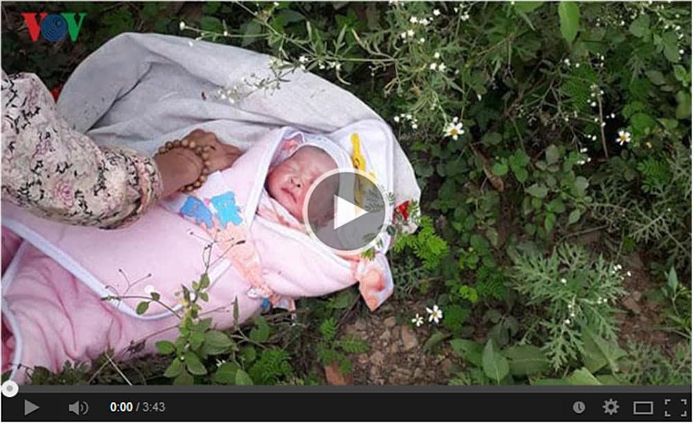 Mới Nhất!!! video phát hiện bé sơ sinh bị bỏ rơi trong rừng tại Quảng Nam 1 ngày 1 đêm